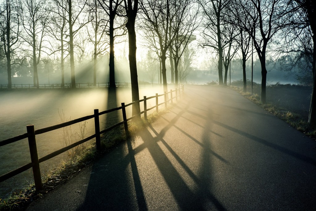 Establishing Boundaries
