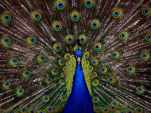 The Beauty of Being&nbsp;You